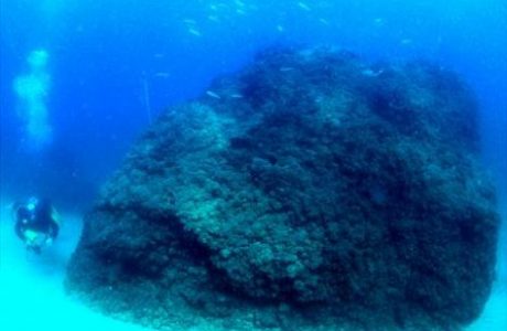 אתר צלילה ארכיאולוגי תת ימי – מסלול ד