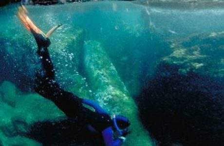 Guided Snorkeling