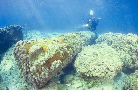 אתר צלילה ארכיאולוגי תת ימי – מסלול א